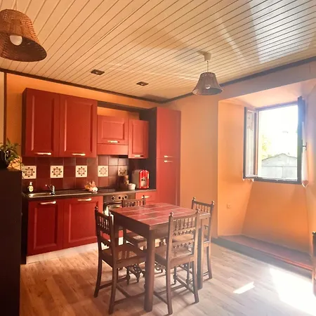 Apartament Camelia *