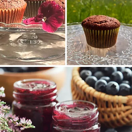 Camelia Lejlighed Camugnano