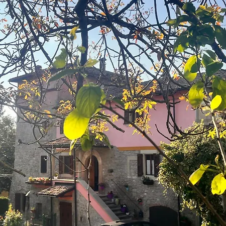 Apartament Camelia