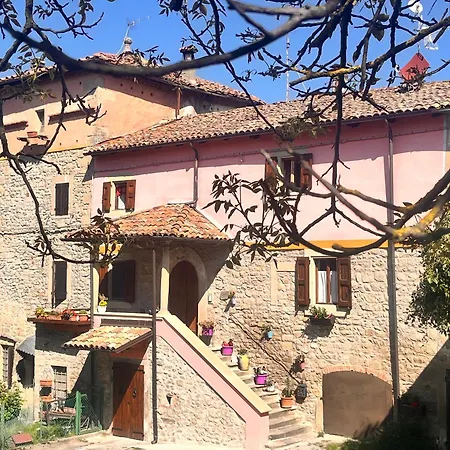 Camelia - A 7 Min Dalla Rocchetta Mattei Camugnano