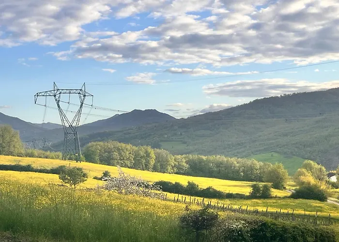 Camelia Апартаменты