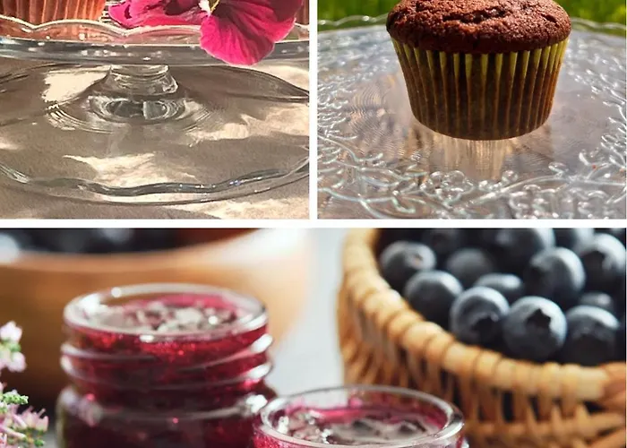 Camelia Appartamento Camugnano